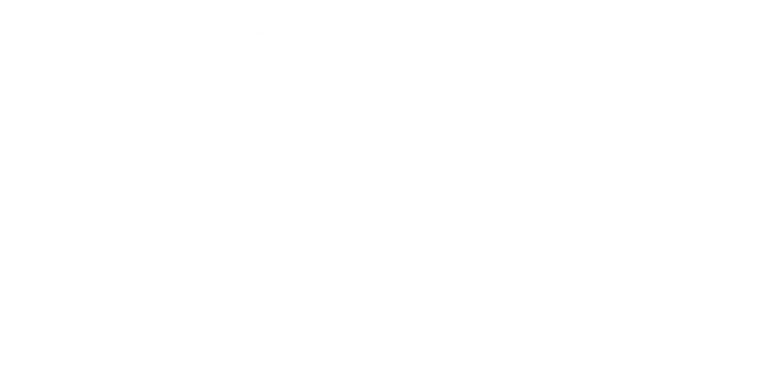 14 years, more than 300 projects, and a team of over 50 people